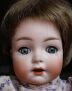 Mein Lieblingsbaby Toddler
